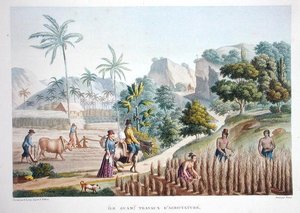 عمال المزارع ، غوام ، الفلبين ، من "رحلة أوتور دو موند (1817-20)" بقلم لويس كلود ديسولسيس دي فرايسينت (1779-1842) نقش بواسطة بوميل ، نُشر في 1822-24 (حجر ملون) بواسطة سيباستيان (ت 1832) (بعد) ليروي