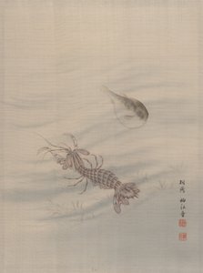 قاع البحر يظهر Cray Fish ، كاليفورنيا. 1890-92.