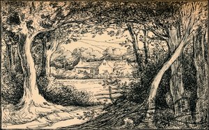 نهاية الفسحة ، غابة البينج ، c1900 بواسطة صورة سلوين