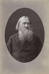 صورة للشاعر أليكسي نيكولايفيتش بليشييف 1825-1893 ، 1870