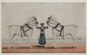 سايس (العريس) يحمل اثنين من الخيول ، حوالي عام 1845 (ألوان مائية غير شفافة على ورق) بواسطة الشيخ محمد أمير من كراية (Attr. to)