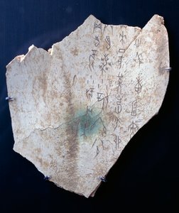 Pictogram on an ox scapula with a ritual to ward off danger (bone) بواسطة اسرة شانغ الصينية