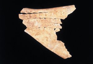 Pictogram on an ox scapula with a ritual to ward off danger (bone) بواسطة اسرة شانغ الصينية