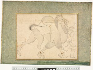 الجمل والعريس ، 1545-76 بواسطة شيخ محمد