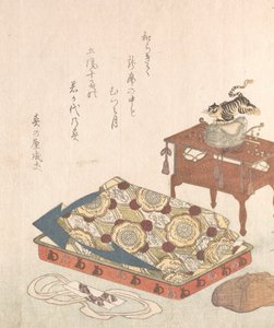 زي لرقصة بوجاكو كورت من مجموعة مطر الربيع ... ، ربما عام 1818 عام النمر.