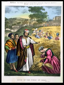 روث في حقل بوعز ، من إنجيل طبعه إدوارد جوفر ، 1870