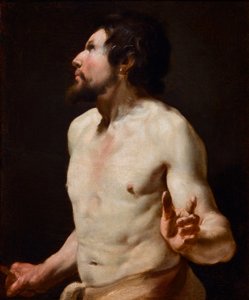 دراسة رسم الجذع من مدرسة سيمون فويت (1590-1649) (رسم) بواسطة سيمون (دائرة) فويت