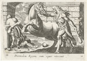 التقى هرقل مع باردين فان ديوميديس Diomedes Regent with Horses (العنوان على الكائن) موضوع Herculische (عنوان السلسلة)