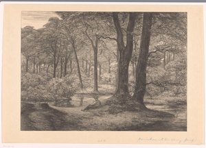 منظر من Hunnenschans على Veluwe The Hunnenschans (العنوان الأصلي) بواسطة سيمون مولين