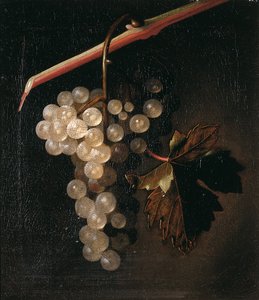 عنقود عنب معلق أمام حائط حجري ، 1709
