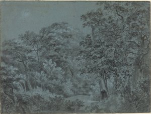 في لاهاي وودز بواسطة سيمون دي فليجر