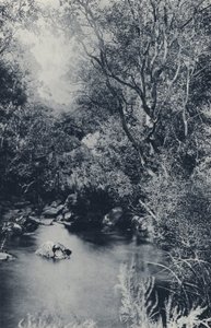 مشهد خرافي ، بالقرب من Witpoortje (صورة b / w) بواسطة مصور جنوب أفريقي