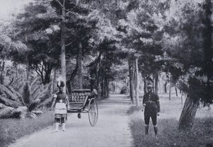 ألبرت بارك ، ديربان (صورة b / w) بواسطة مصور جنوب أفريقي