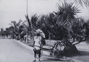 Bay Esplanade ، ديربان ، تظهر الريكشة (b / w photo) بواسطة مصور جنوب أفريقي