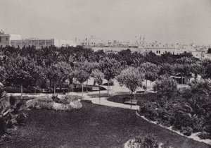 Cadiz: Parque Genoves (صورة b / w) بواسطة المصور الإسباني