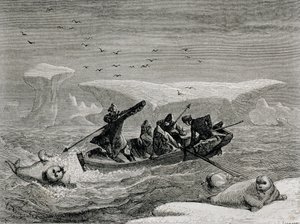 صيد الفظ مع Harpoons في جزر سبيتسبيرجين ، أرخبيل سفالبارد ، رسم توضيحي من "العودة إلى العالم" ، 1865 بواسطة المدرسة الاسبانية