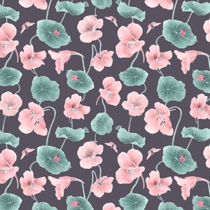 نمط البطل Nasturtium colorway 1، 2020 (قلم جرافيت ورقمي) بواسطة ستايسي هسو