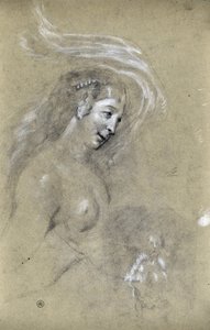دراسة ملف المرأة (رسم)
