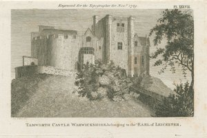 قلعة تامورث: نقش ، بدون تاريخ [عام 1799] (طباعة) بواسطة ستيبينج شو
