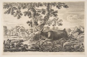صيد الغزلان ، من اصطياد الحيوانات صيد الحيوانات المختلفة ، كاليفورنيا. 1654. بواسطة ستيفانو ديلا بيلا