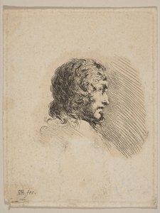 رأس شاب في الملف الشخصي ، من صور مختلفة Recueil de Diverses Piéces S ...، ca. 1647. بواسطة ستيفانو ديلا بيلا