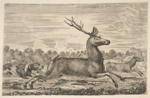 كلاب الصيد مطاردة الأيل ودولة ، كاليفورنيا. 1654. بواسطة ستيفانو ديلا بيلا