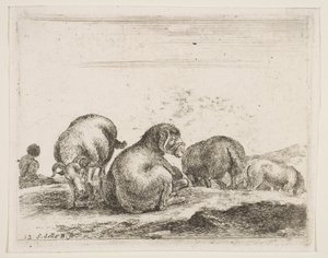اللوحة 12: خروف وكبش في مرعى من حيوانات مختلفة Diversi animali، ca. 1641. بواسطة ستيفانو ديلا بيلا