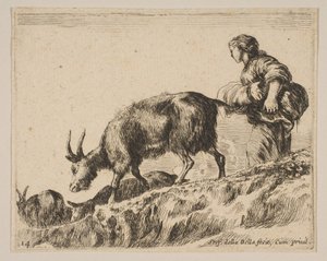 اللوحة 14: راعية الماعز ، كاليفورنيا. 1641. بواسطة ستيفانو ديلا بيلا