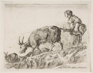 اللوحة 14: رعي الماعز ، من مختلف الحيوانات Diversi animali ، ca. 1641. بواسطة ستيفانو ديلا بيلا
