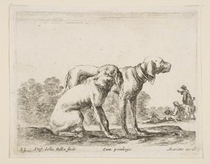 اللوحة 23: كلبان من حيوانات مختلفة Diversi animali، ca. 1641. بواسطة ستيفانو ديلا بيلا
