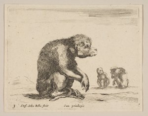 اللوحة 3: قرد جالس من حيوانات مختلفة Diversi animali، ca. 1641. بواسطة ستيفانو ديلا بيلا
