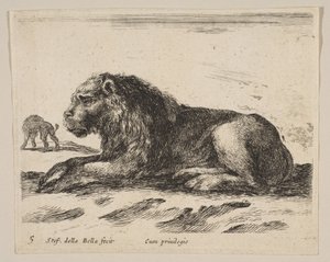 اللوحة 5: أسد مستلق من حيوانات مختلفة Diversi animali، ca. 1641. بواسطة ستيفانو ديلا بيلا
