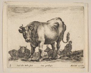 اللوحة 8: ثور ، من "حيوانات مختلفة" Diversi animali ، كاليفورنيا. 1641. بواسطة ستيفانو ديلا بيلا