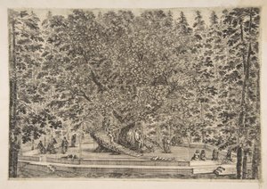 بيت الشجرة في براتولينو ، كاليفورنيا. 1653. بواسطة ستيفانو ديلا بيلا