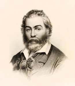 صورة من طبعة عام 1860 من "أوراق العشب" مجموعة شعرية للشاعر الأمريكي والت ويتمان بواسطة ستيفين ألونزو شوف