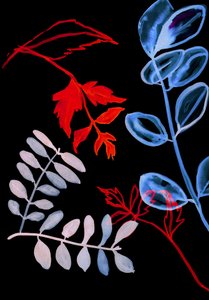 Night Flora IV، 2018 (رقمي) بواسطة ستيفن داو