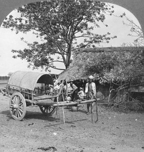 منزل قرية مبني من الخيزران والأوراق ، بورما ، 1908. بواسطة شركة السفر ستيريو
