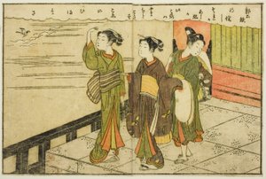 توضيح من صفحتين من المجلد. 2 من "كتاب صور الربيع البروكار (Ehon haru no nishiki)" بواسطة سوزوكي هارونوبو