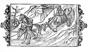 حصان يجر على الثلج جلد دب يجلس عليه فنلندي - في "" De Gentibus septrionalibus "لرئيس الأساقفة Olaus Magnus ، السويد بواسطة المدرسة السويدية