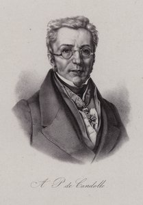 Augustin Pyramus de Candolle, Swiss botanist (engraving) بواسطة المدرسة السويسرية