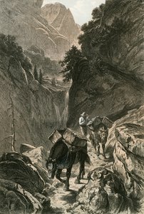 Packhorses يجتاز ممر الجبل بواسطة المدرسة السويسرية