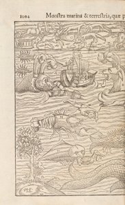 الصفحة 1004 من Cosmographiae Universalis بقلم سيباستيان مونستر ، بازل ، 1572 بواسطة المدرسة السويسرية