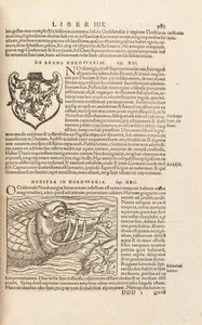 الصفحة 983 من Cosmographiae Universalis بقلم سيباستيان مونستر ، بازل ، 1572 بواسطة المدرسة السويسرية