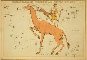 Camelopardalis و Tarandus و Guardian of the Messium ، رسم توضيحي من "مرآة Urania" بواسطة قاعة سيدني
