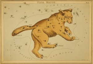 Ursa Major ، رسم توضيحي من "مرآة يورانيا" بواسطة قاعة سيدني