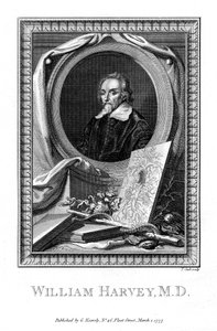 وليام هارفي ، طبيب ، 1777. بواسطة T. كوك