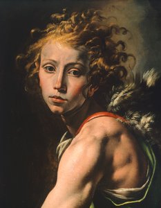تمثال ديفيد ، تفاصيل من ديفيد مع رأس جالوت ، بواسطة تانزيو دا فارالو (1575-1635)