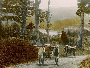 فتاة يابانية في كاجو، منطقة هاكوني، حوالي عام 1900 - 1915 (صورة فوتوغرافية)