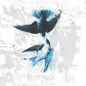 Spiraling Birds II، 2017 (صورة مجمعة على قماش) بواسطة تيس ألبرز