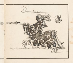 كتاب عن البطولات: Jouster Facing Left بواسطة ثيوبالد سينفيلدر